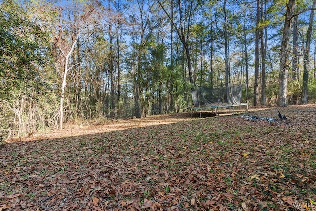 view of yard featuring a trampoline