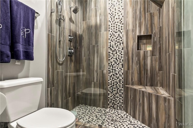 10300 Legacy Ln, Northport, AL 35475 - full bathroom with toilet and tiled shower