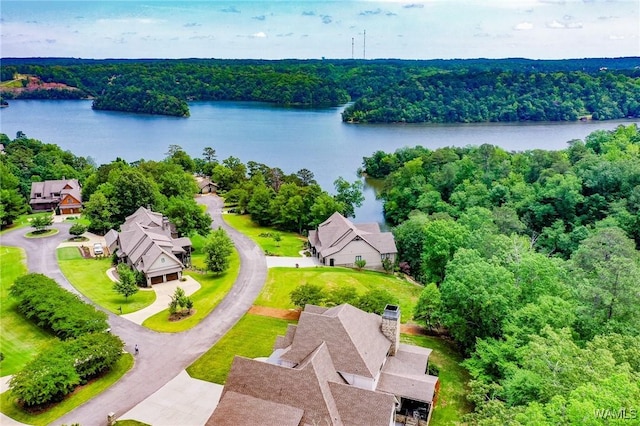 10300 Legacy Ln, Northport, AL 35475 - bird's eye view of a nearby body of water and a heavily wooded area