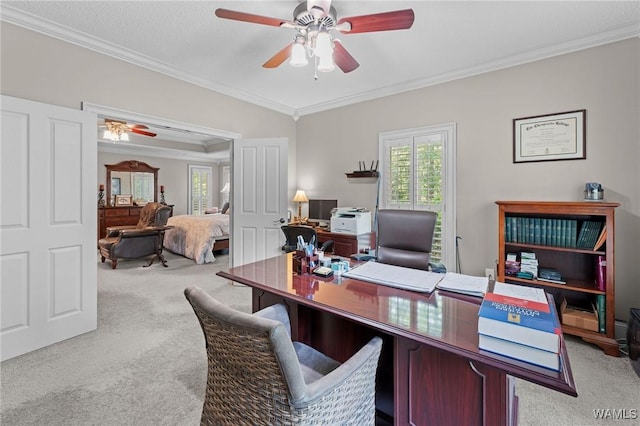 11147 Mountain Park Cir, Tuscaloosa, AL 35405 - office area with carpet, ceiling fan, plenty of natural light, and ornamental molding