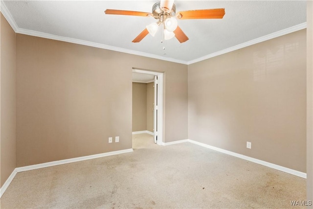 11279 Red Oak Dr, Tuscaloosa, AL 35405 - photo 18