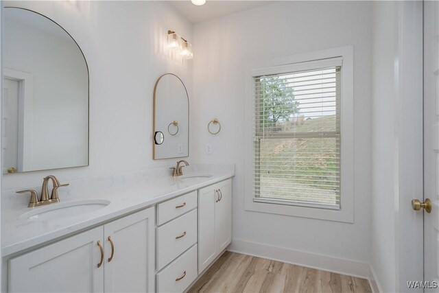 bathroom featuring double vanity, wood finished floors, a sink, and baseboards