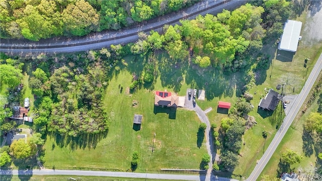 44 Maddox Rd, Nauvoo, AL 35578 - bird's eye view