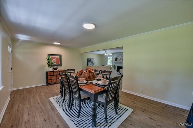 dining room featuring a fireplace, crown molding, baseboards, and wood finished floors