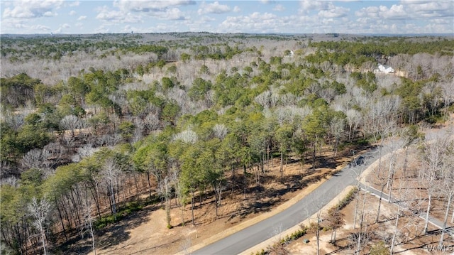 14180 Watercolor Dr, Northport, AL 35475 - photo 19