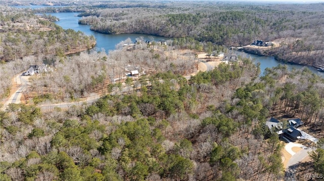 14180 Watercolor Dr, Northport, AL 35475 - photo 11