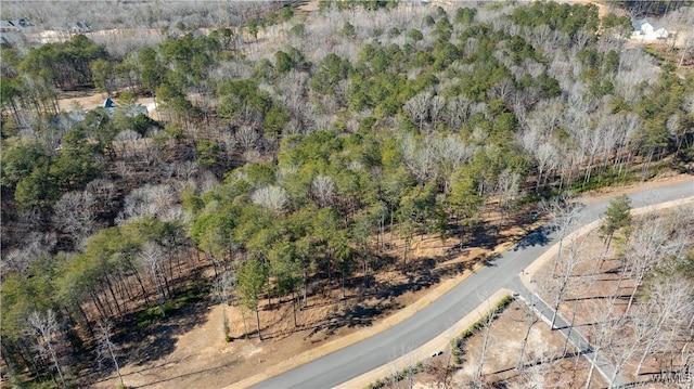 14180 Watercolor Dr, Northport, AL 35475 - photo 5
