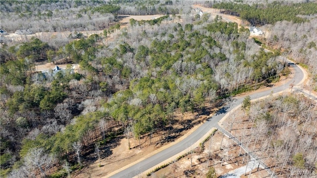 14180 Watercolor Dr, Northport, AL 35475 - photo 17