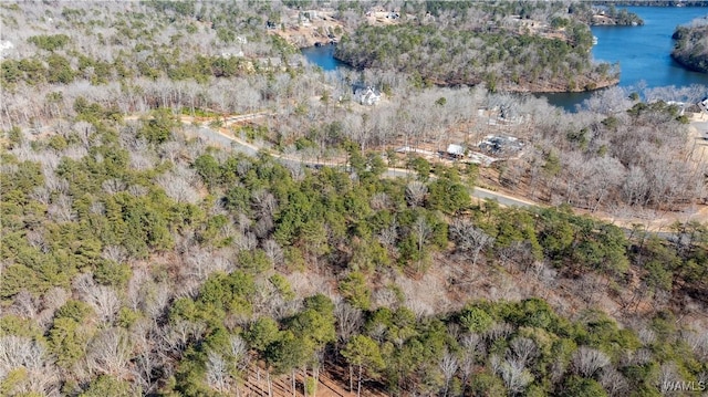 14180 Watercolor Dr, Northport, AL 35475 - photo 14