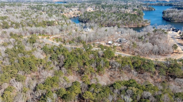 14180 Watercolor Dr, Northport, AL 35475 - photo 15