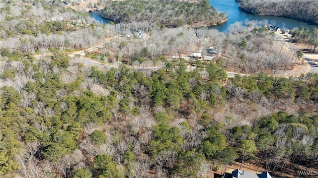 14180 Watercolor Dr, Northport, AL 35475 - photo 13