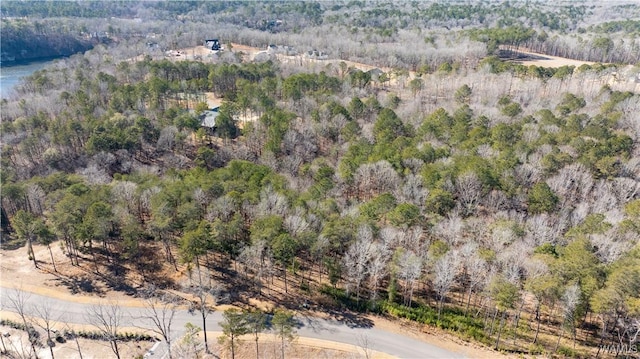 14180 Watercolor Dr, Northport, AL 35475 - photo 7