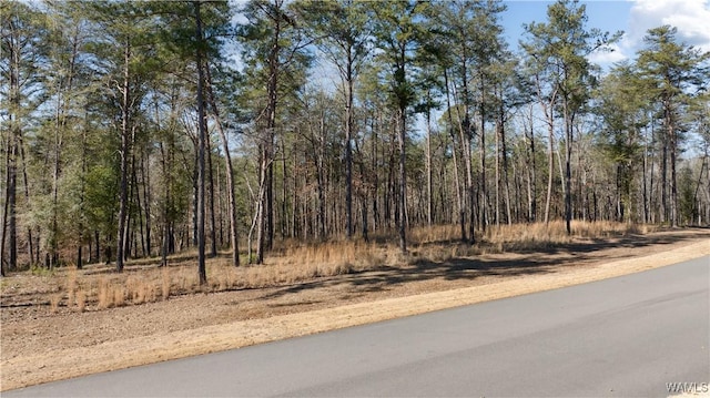 14180 Watercolor Dr, Northport, AL 35475 - photo 1