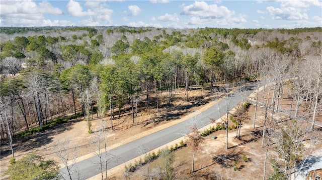 14180 Watercolor Dr, Northport, AL 35475 - photo 20