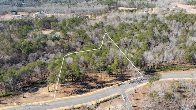 14180 Watercolor Dr, Northport, AL 35475 - photo 3