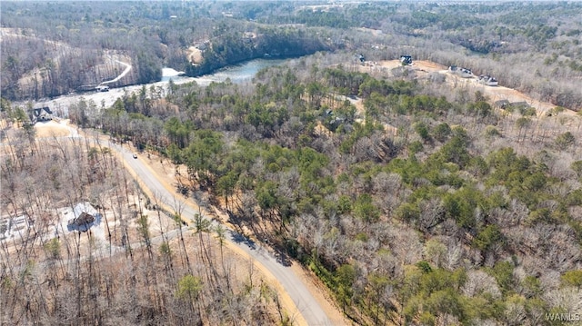 14180 Watercolor Dr, Northport, AL 35475 - photo 9