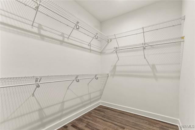 spacious closet featuring dark wood-type flooring