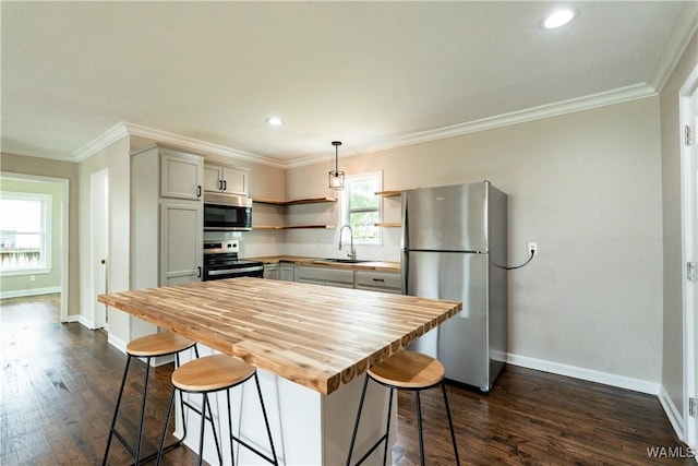kitchen featuring wood counters, open shelves, a sink, stainless steel appliances, and dark wood-style floors