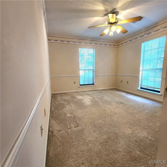 carpeted spare room featuring ceiling fan, plenty of natural light, a textured ceiling, and ornamental molding