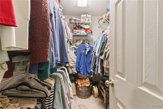 spacious closet with carpet flooring