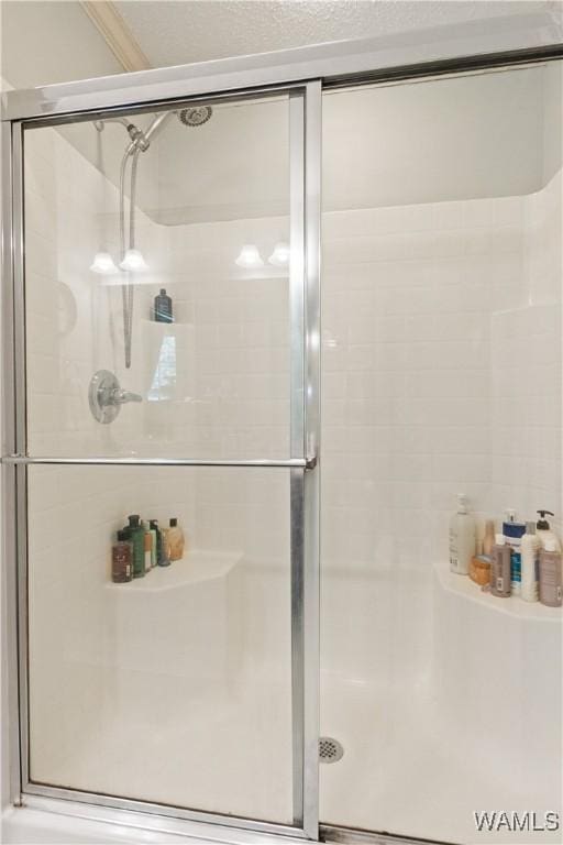 full bathroom with a stall shower