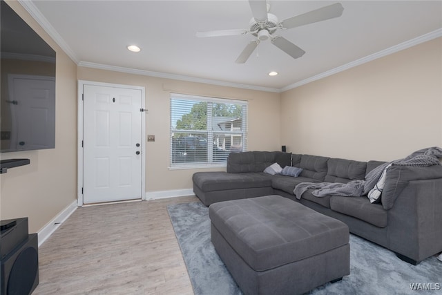 living room with ceiling fan, light hardwood / wood-style flooring, and ornamental molding