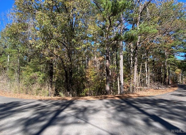 0 N Shore Dr, Vance AL, 35490 land for sale