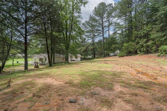 4205 Cloverdale Est, Northport, AL 35473 - view of yard