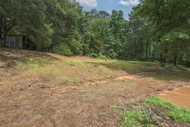 4205 Cloverdale Est, Northport, AL 35473 - view of yard with a wooded view