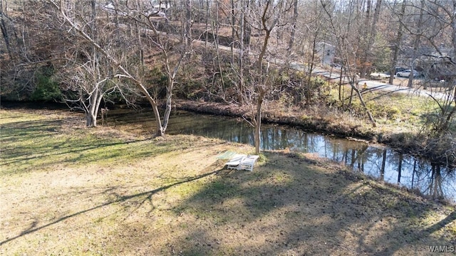 view of yard with a water view