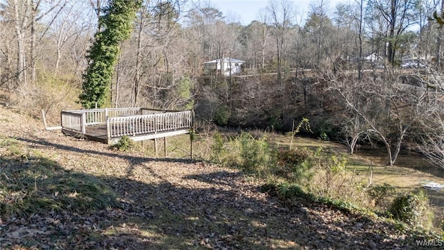 view of yard featuring a wooden deck