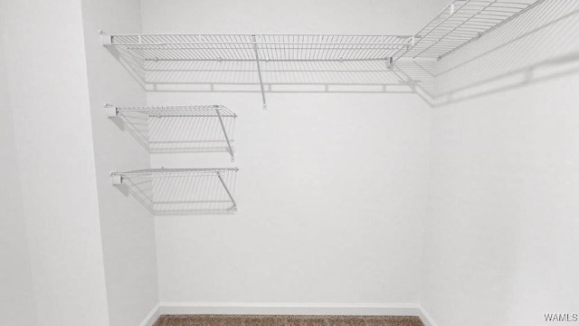 walk in closet with carpet flooring