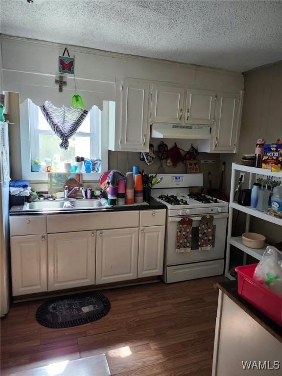 2808 19th St, Tuscaloosa, AL 35401 - photo 6