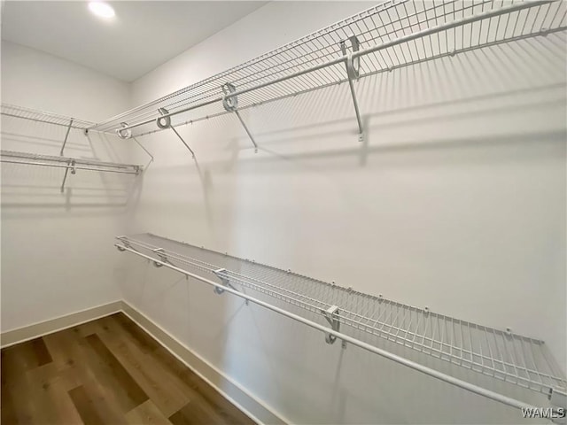 walk in closet with hardwood / wood-style flooring