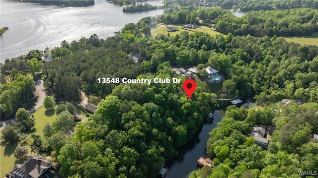 drone / aerial view featuring a view of trees and a water view