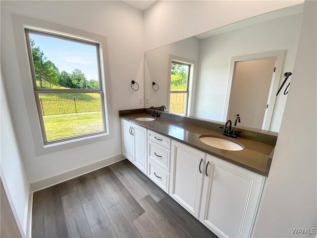 bathroom featuring hardwood / wood-style floors, vanity, and a wealth of natural light