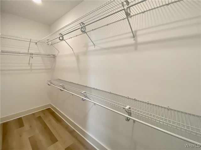 spacious closet featuring hardwood / wood-style floors