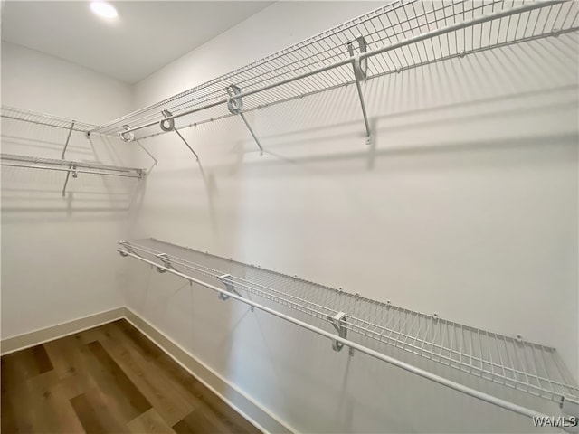 walk in closet featuring dark hardwood / wood-style floors