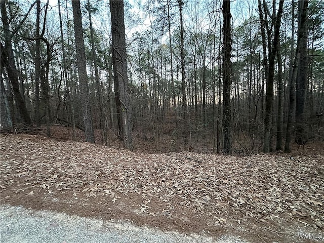 Listing photo 3 for 0 Deer Chase Rd, Vance AL 35490