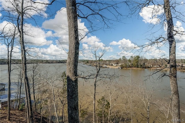 14938 Edgewater Dr, Northport, AL 35475 - photo 22