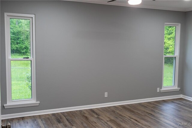 empty room featuring a healthy amount of sunlight, baseboards, and ornamental molding
