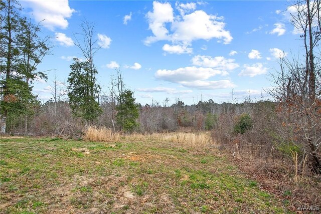 17505 Mormon Rd, Northport, AL 35475 - view of wooded area