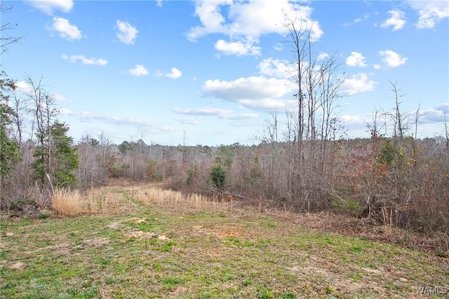 17505 Mormon Rd, Northport, AL 35475 - view of wooded area