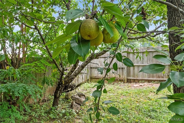 4165 Brentwood St, Northport, AL 35475 - photo 4