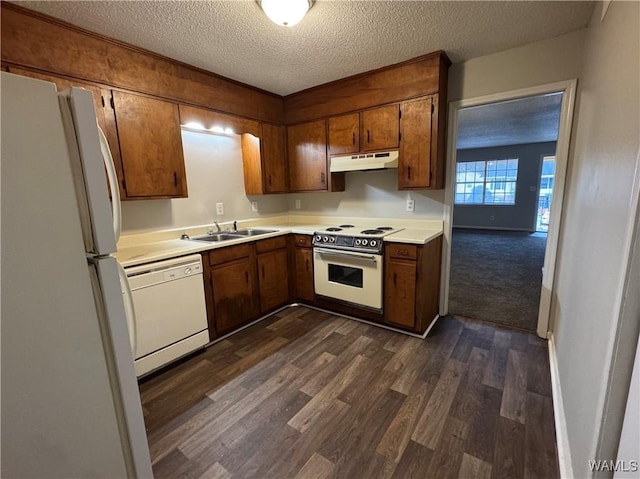 kitchen featuring dark wood-type flooring, white appliances, sink, and a textured ceiling