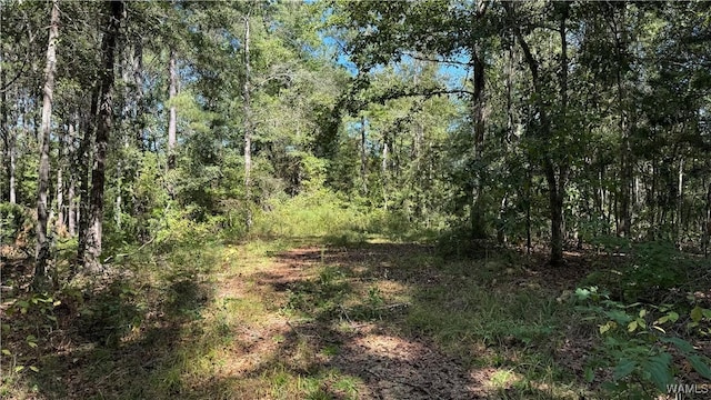 0000 Scottsville Rd, West Blocton AL, 35184 land for sale