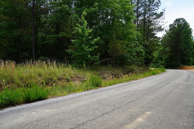 0 Yorkville Rd, Ethelsville, AL 35461 - photo 20