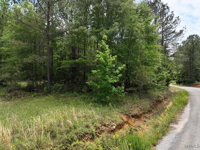 0 Yorkville Rd, Ethelsville, AL 35461 - photo 16
