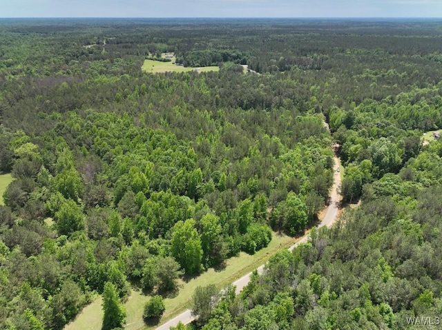 0 Yorkville Rd, Ethelsville, AL 35461 - photo 3