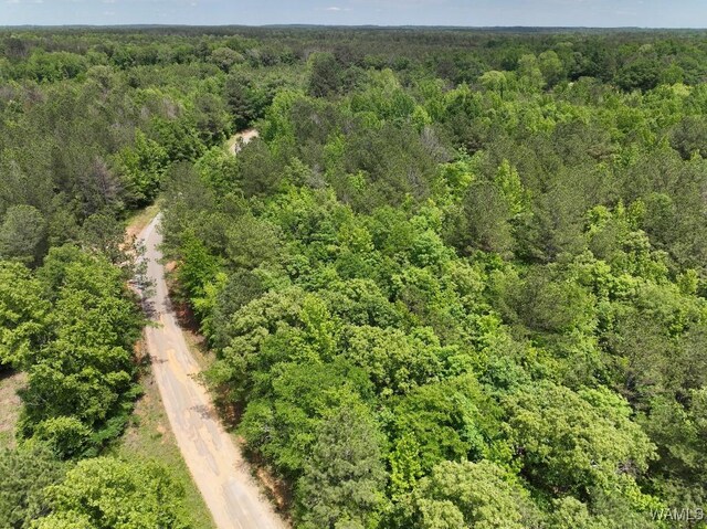 0 Yorkville Rd, Ethelsville, AL 35461 - photo 8